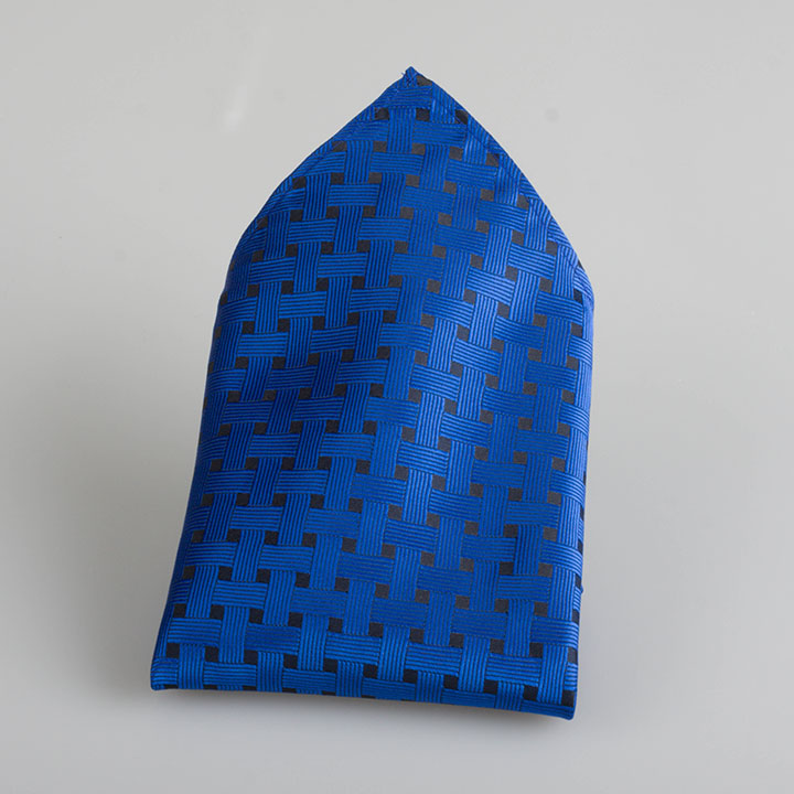 Passerini/Am Ernie Blue hedvábný kapesníček jednobarevný