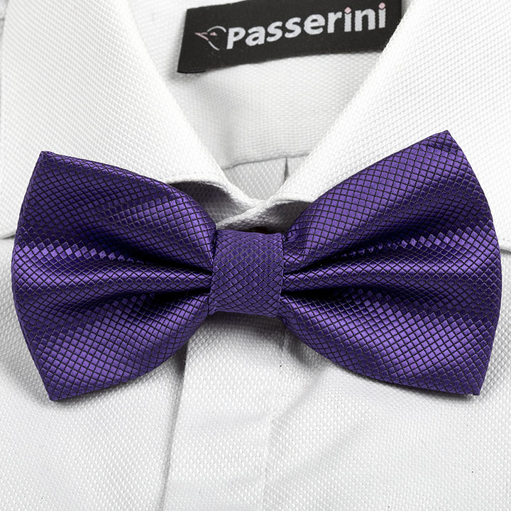 Passerini/Am Achille Dark Violet pánský motýlek se vzorkem fialový