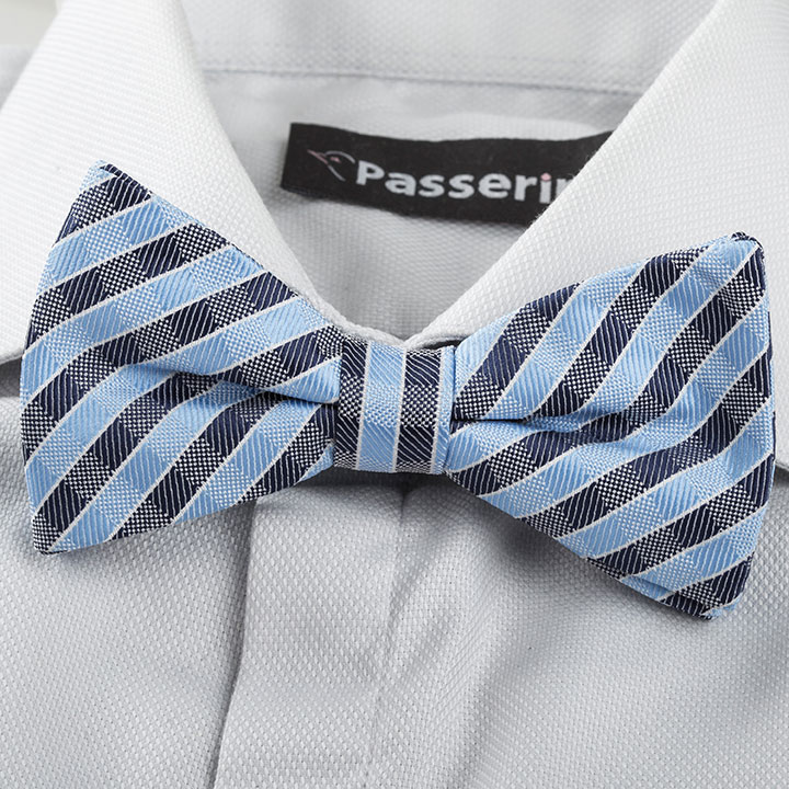 Passerini Renard Blue pánský motýlek s proužkem